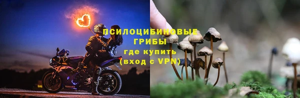 spice Беломорск