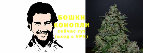 молекула духа Белокуриха