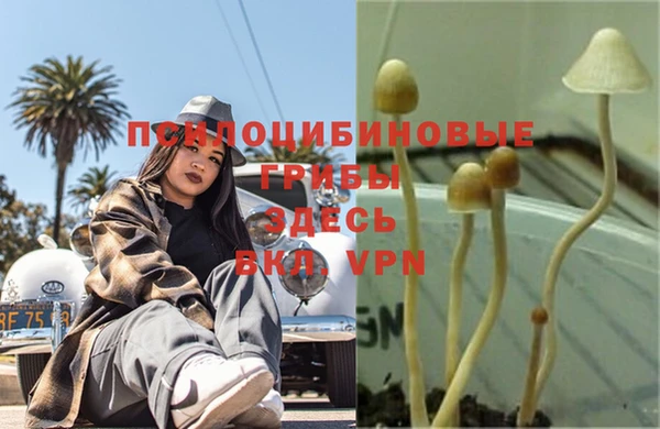 spice Беломорск