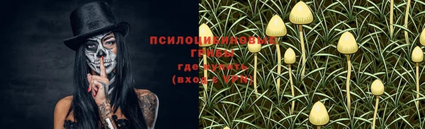 молекула духа Белокуриха