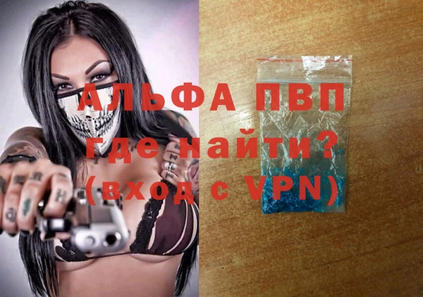 spice Беломорск