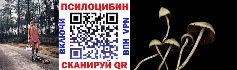 Псилоцибиновые грибы Cubensis  Мглин 